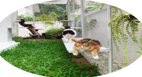 361