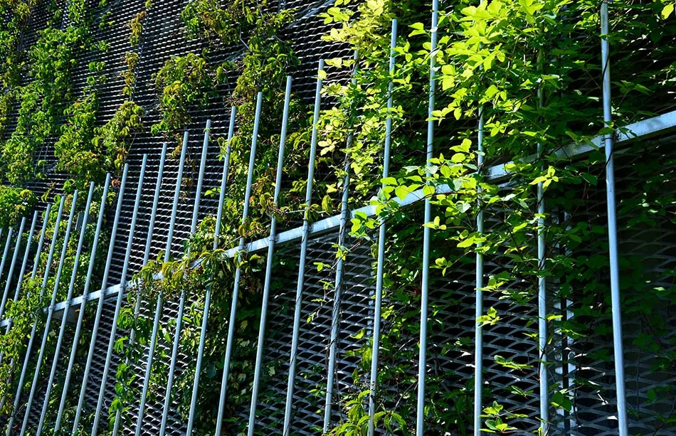 623