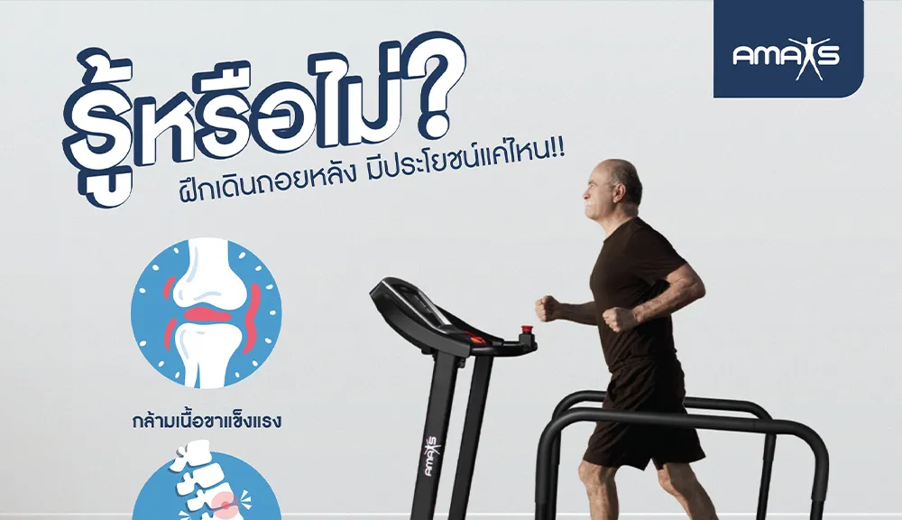 บทความ(1)