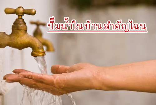 iTopPlus988247418233