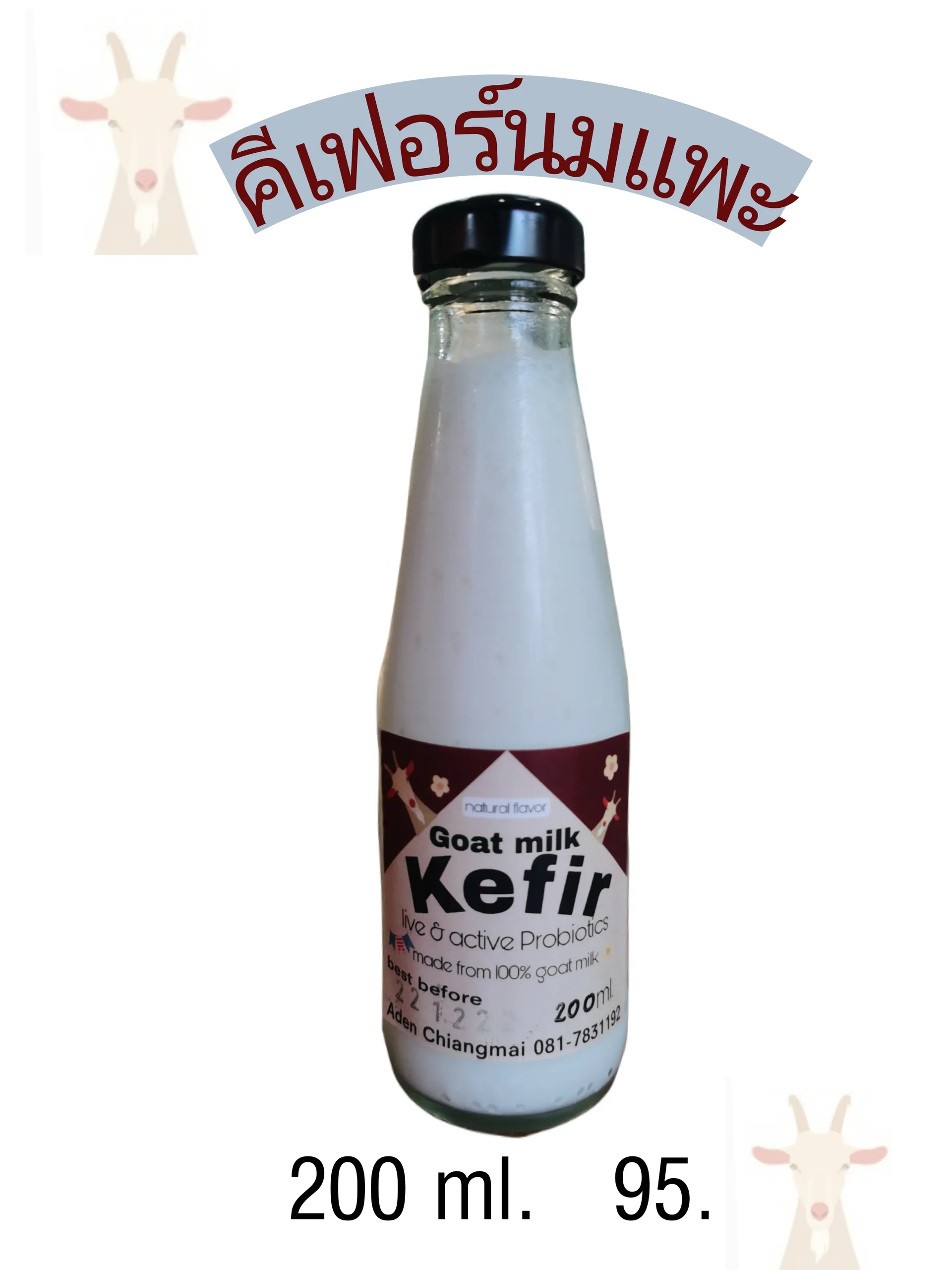 KEFIR4
