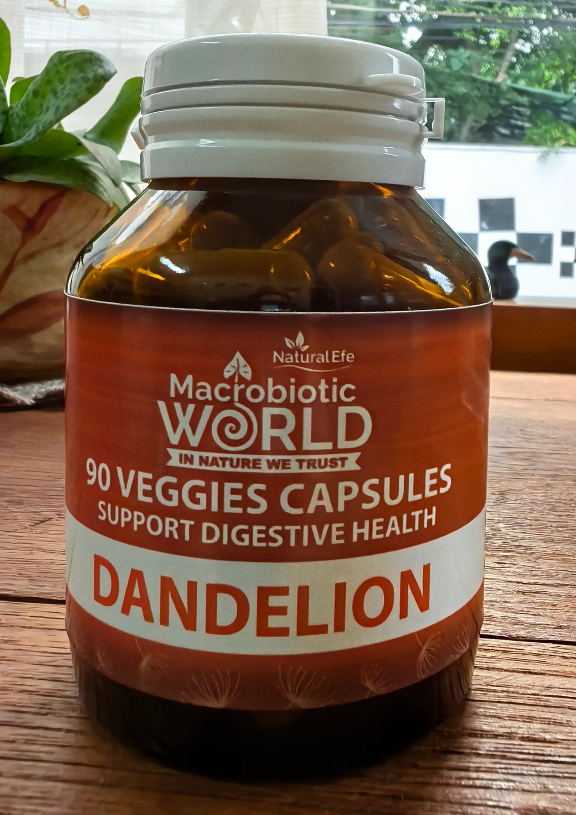 dandelion
