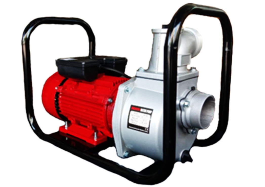 mt-20