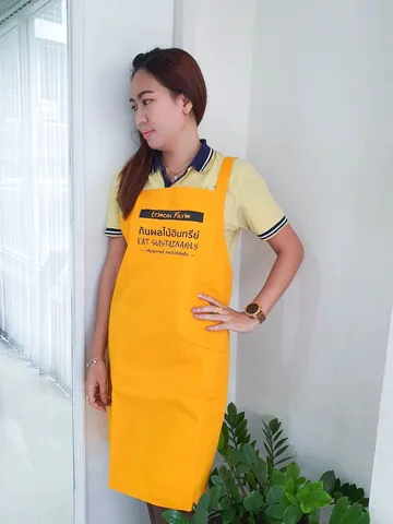 ผ้ากันเปื้อน๒๑๐๘๒๕420-2