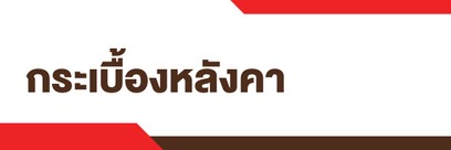 Topicกระเบื้องหลังคา