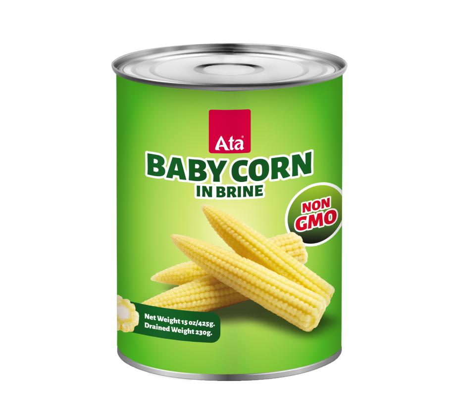 maincorn-5