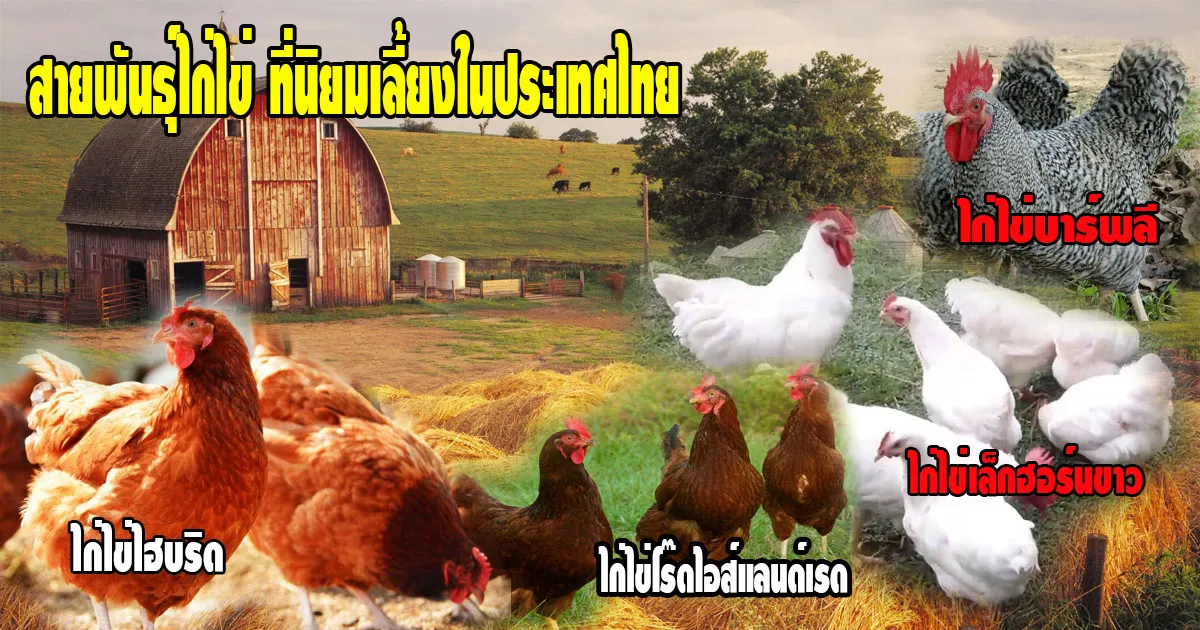 iTopPlus1342395886573
