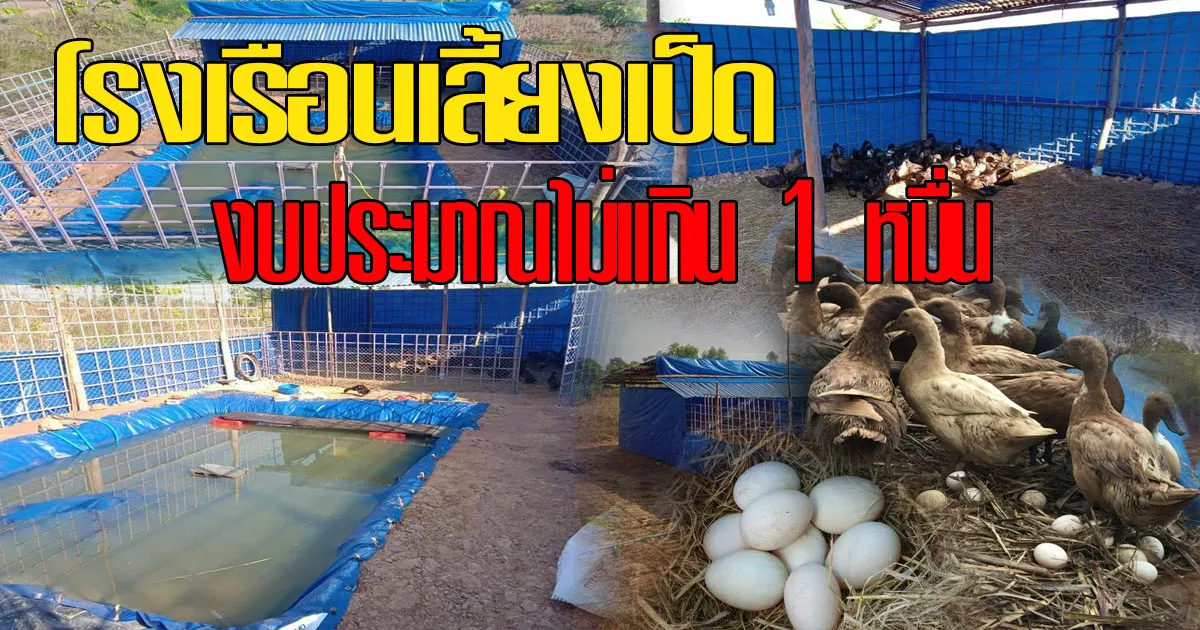 iTopPlus1516567221237
