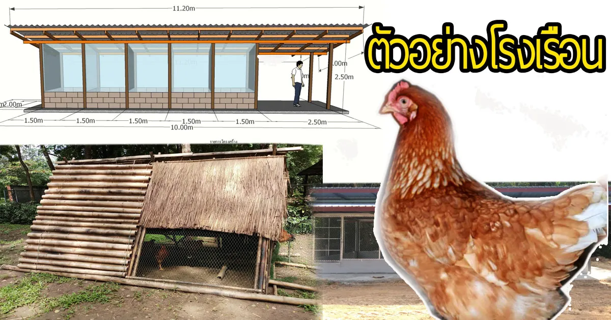 iTopPlus243130252280