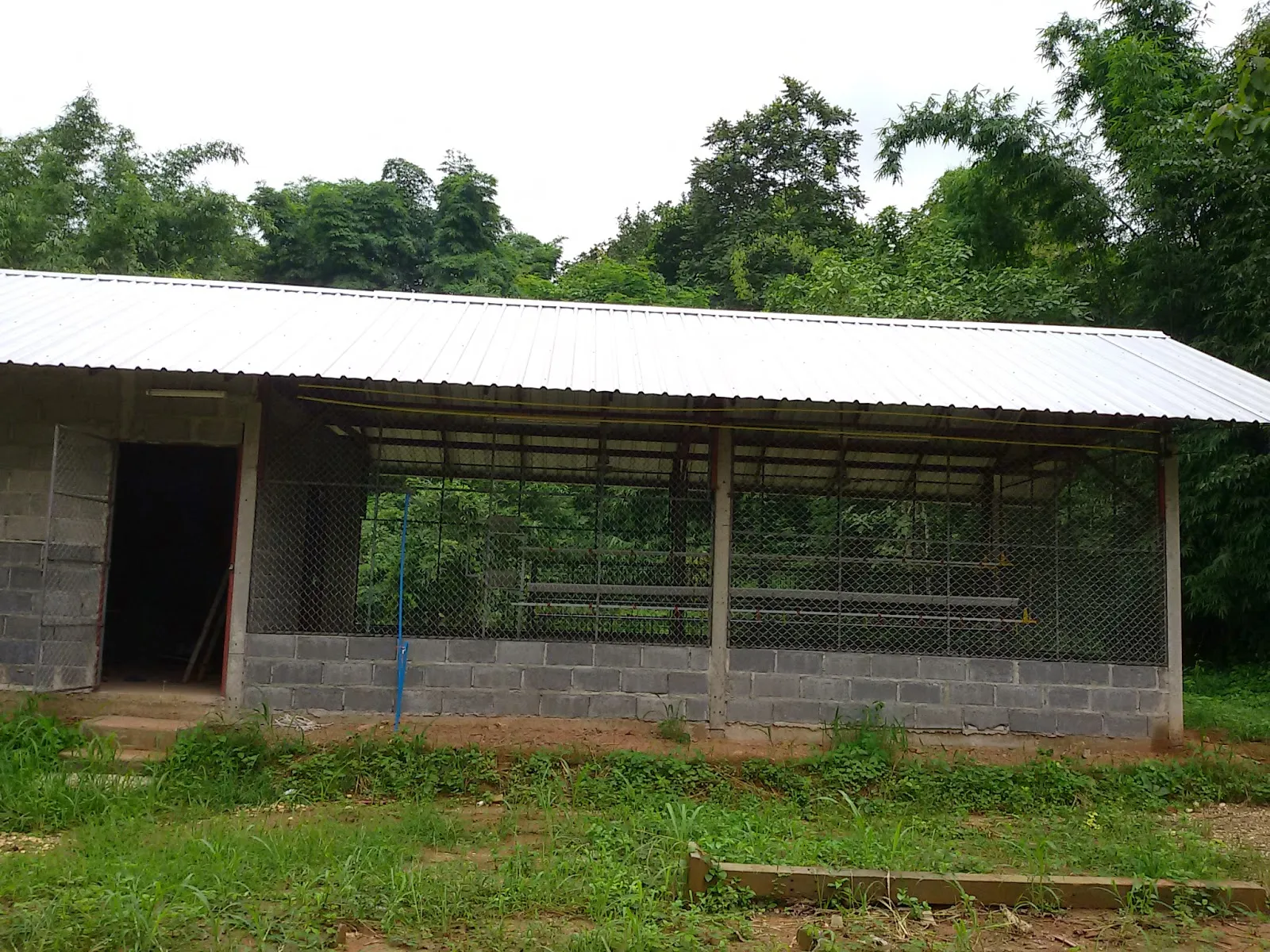 iTopPlus290396616193