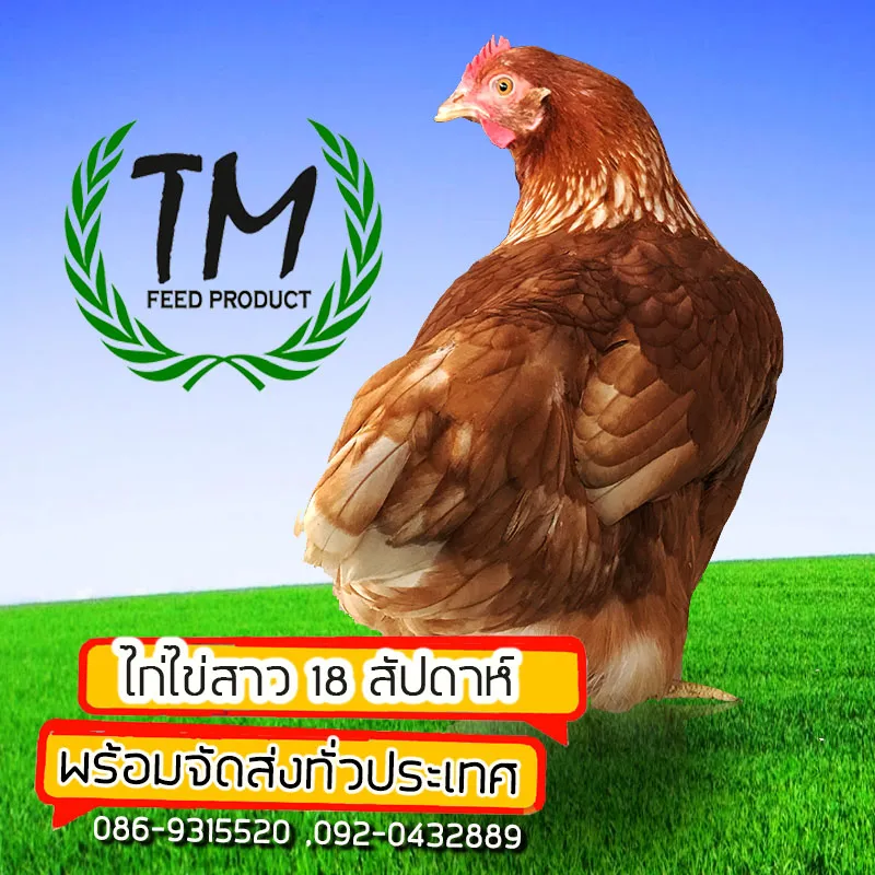 iTopPlus891059473473