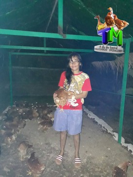 iTopPlus821216303944