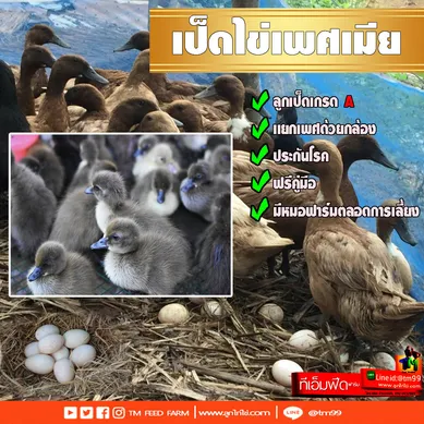 หกหกหก