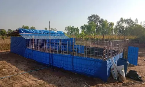 iTopPlus968904296319