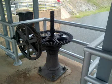 S32350314