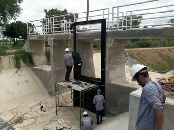 S32350317