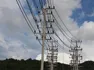 IMAGES201192190993