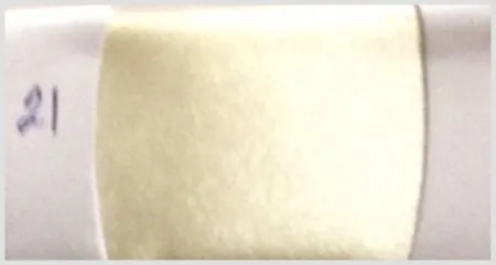 iTopPlus1262379981347