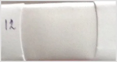 iTopPlus1271443072400