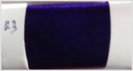 iTopPlus1274896884598