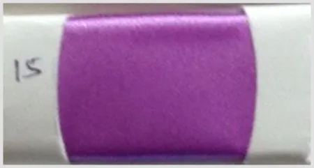 iTopPlus174595536100