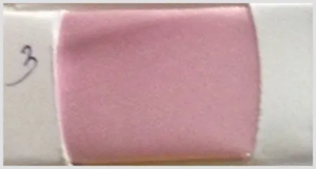 iTopPlus404388906884