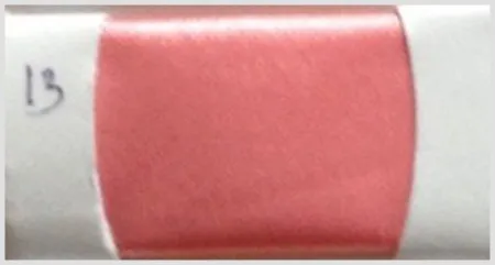 iTopPlus624265557787