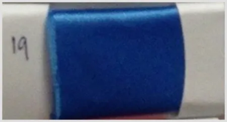 iTopPlus626053651587