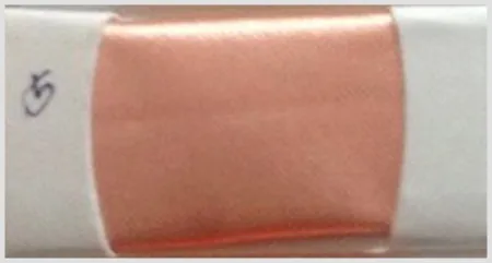 iTopPlus734790364598