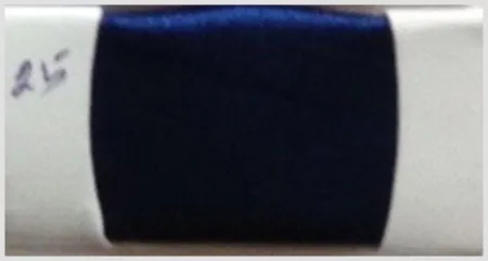 iTopPlus737225701176