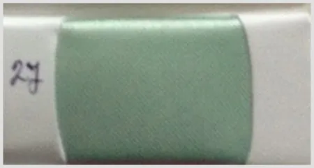iTopPlus781066933318