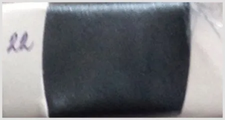 iTopPlus833406083469