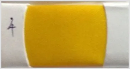 iTopPlus947070244877