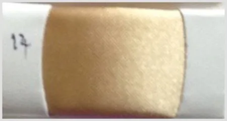 iTopPlus952616434898
