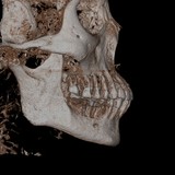 580055SuneePhumphonsapOtherImage2019101117352