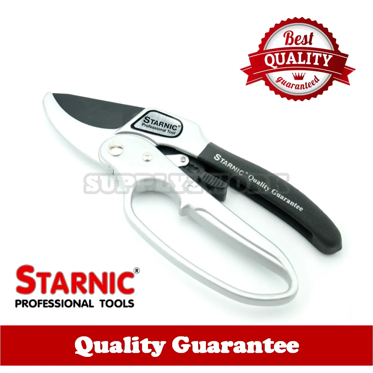 Starnic2-2