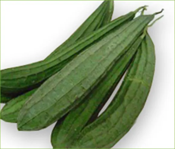 iTopPlus1091037840113