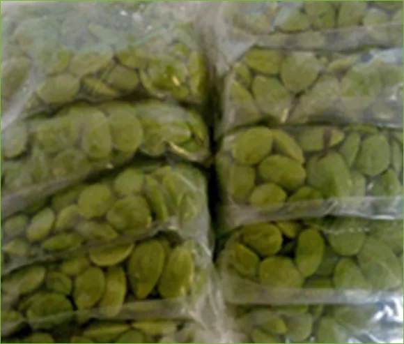 iTopPlus120627982143