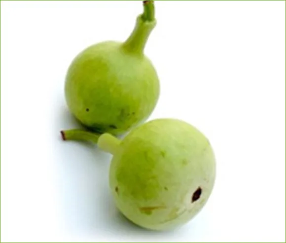 iTopPlus1418469308748