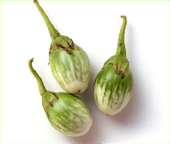 iTopPlus14220690798