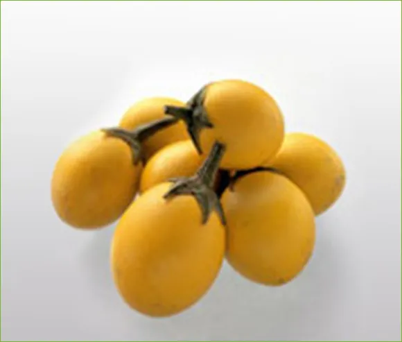 iTopPlus1502610703611