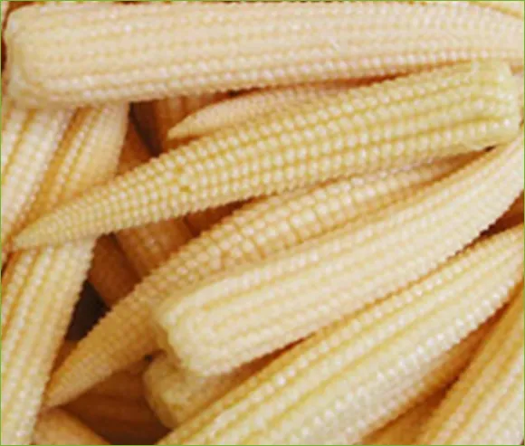 iTopPlus263755264996