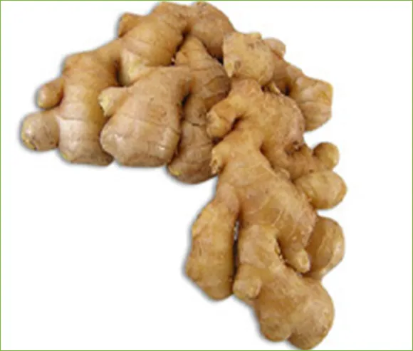 iTopPlus36090407131