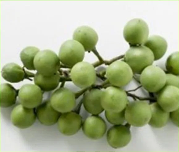 iTopPlus361701893195
