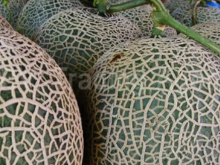 iTopPlus552412772906