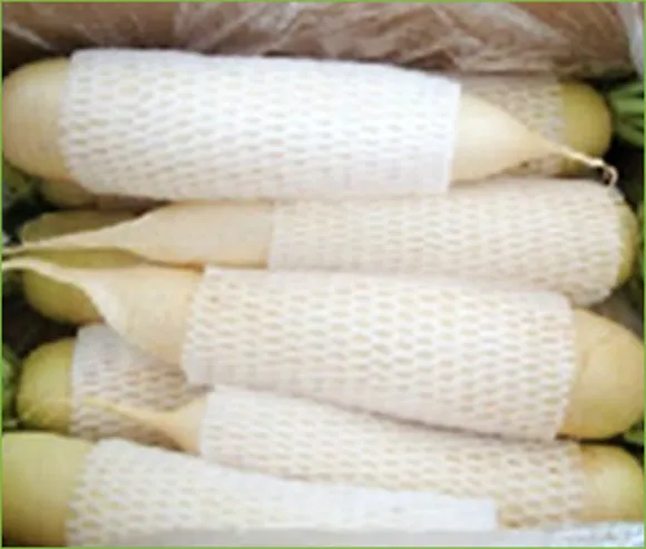 iTopPlus965045010502