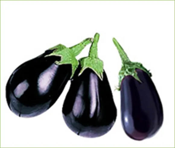 iTopPlus97971073013