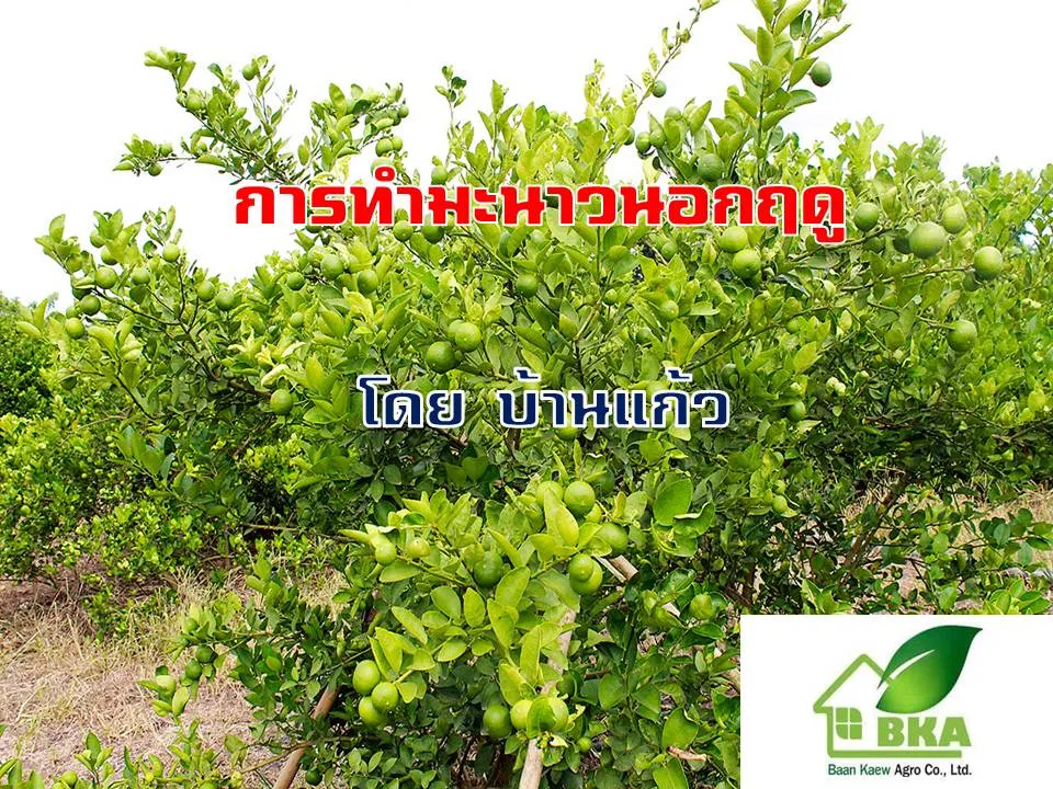 iTopPlus1302946379742