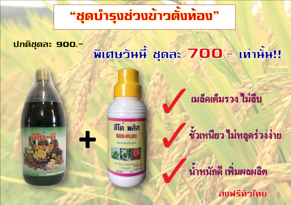iTopPlus1305041518390