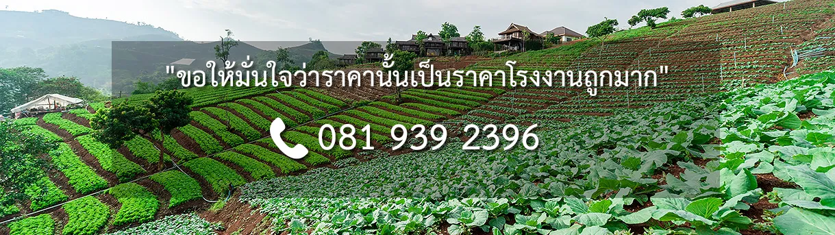 iTopPlus1454849397864